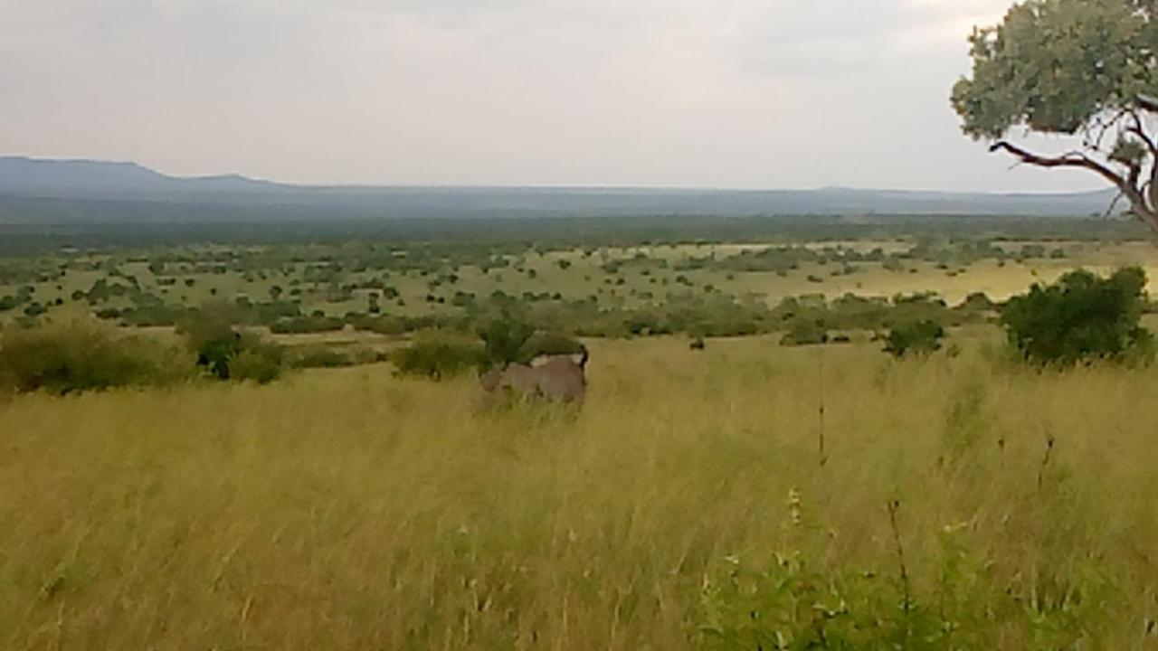 Bed and Breakfast Semadep Safari Camp à Sekenani Extérieur photo